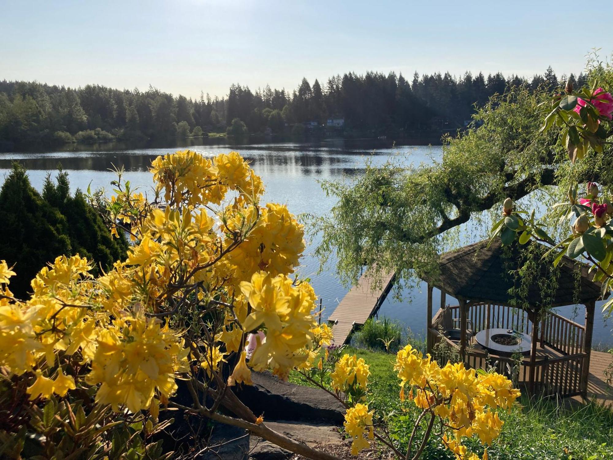 Cottage Lake Bed And Breakfast Woodinville Exterior photo