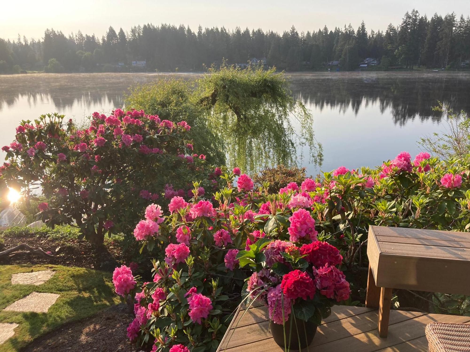 Cottage Lake Bed And Breakfast Woodinville Exterior photo
